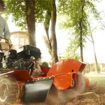 tree stump grinder