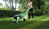 Gardening