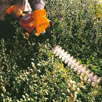 garden tool hire
