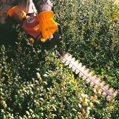 Hedge Trimmer Hire